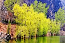 瞎掺和，定坏事图片