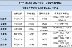 2023年安徽新农保6000元档次退休金，不同城市交最高档待遇表图片