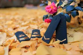 转业安置上班之前，到了新单位新岗位，老兵给大家4点建议图片