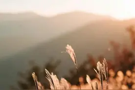 羞耻感正在毁掉你的人生，摆脱羞耻感，重建价值感图片