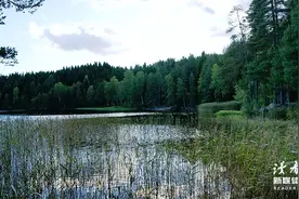 “我的孩子好好的，为什么会想不开？”：多少父母不知道，自己成了压垮孩子的最后一根稻草图片