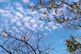 手机拍照模式用得多，三个实用技巧应掌握图片