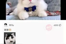 搞笑的图片和神回复图片