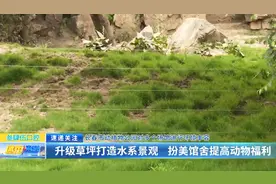 长春市动植物公园对多个场馆进行环境丰容：升级草坪打造水系景观 扮美馆舍提高动物福利图片