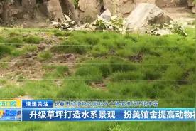 长春市动植物公园对多个场馆进行环境丰容：升级草坪打造水系景观 扮美馆舍提高动物福利图片