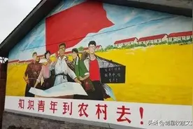 知青往事——有志者事竟成图片