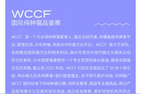 100+纯种喵星人大集合！泰达这场萌宠嘉年华邀您打卡！图片