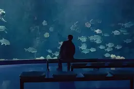 我承认，我是个“矫情”的自闭症家长图片