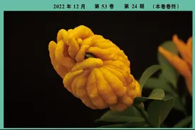 枸杞多糖类物质研究现状及发展动态的可视化分析图片