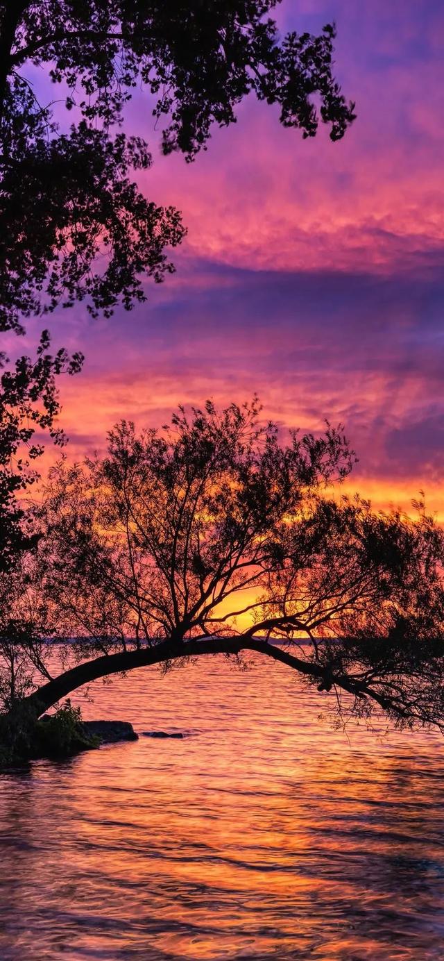 好心情唯美简约壁纸,保持快乐每一天高清图片舍鱼