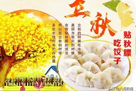 明日立秋，再忙也要吃饺子，4道水饺个个鲜亮，别忘记贴秋膘图片
