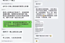大庆这个小区猫头鹰整宿叫！鸟类专家：相中这了，国家保护动物，别伤害图片