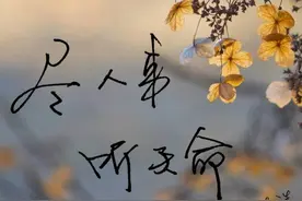 静思｜尽人事，听天命图片