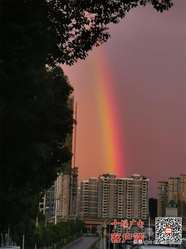 ʮֲʺ Ȧ