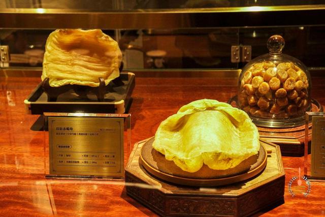 北京哪里能买到好的花胶 2026年北京哪里买花胶比较好