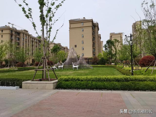 枣庄新城小区探访——南石大盘：水辰•君悦府