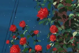 壁纸｜枯木会逢春，花会沿途盛放图片