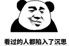 “熊娃”玩火，那辆轿车“挂了”图片