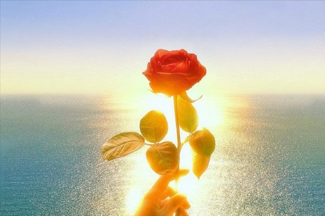 令人瞬间心情大好的句子,心态阳光,简洁干净