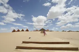 格尔木行，遇世界上海拔最高的胡杨林，沙漠中的最鲜艳的色彩好美图片