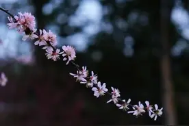 2022情人节快乐，写一封情书，给傻傻的自己图片