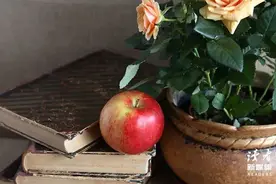 叔本华：文字见心境，阅读见人生图片