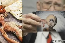 关于神秘区域 51 的 15 个事实图片