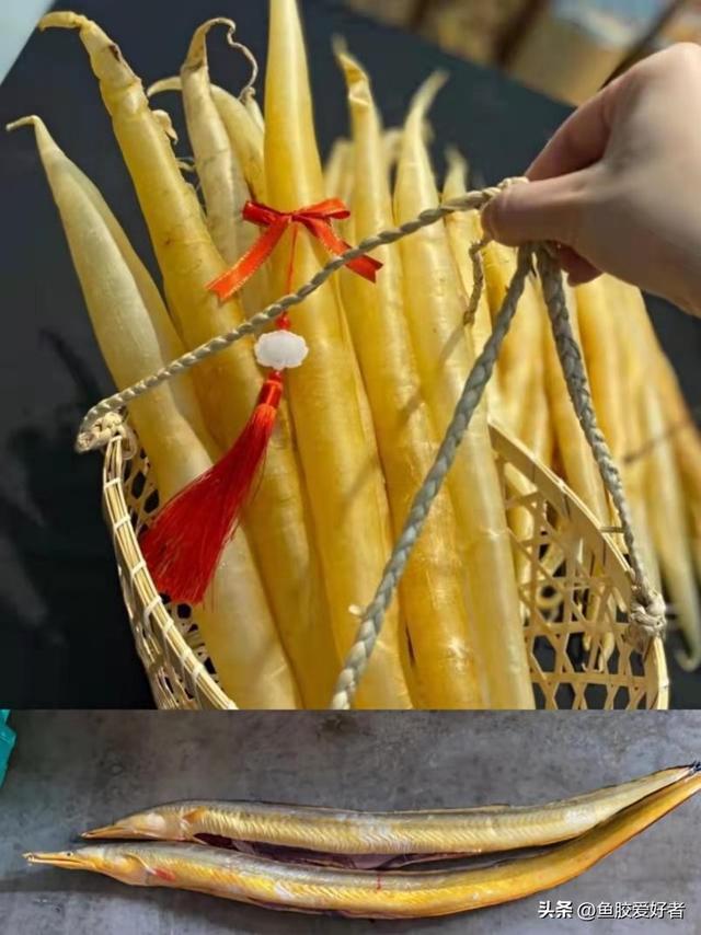 澳洲花胶是哪种鱼 澳洲花胶液有什么好处