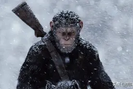 为什么我们的手指长度不一样？图片