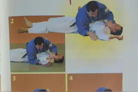 巴西柔术【一】图片