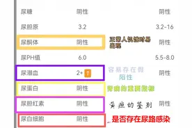 看肾好不好，尿检报告解读请收好。图片