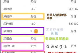 看肾好不好，尿检报告解读请收好。图片