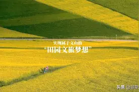 藏在城南的这片梯田，将包揽文山最诱人的田园风光图片
