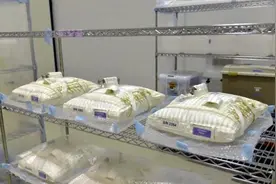 3名宇航员每天消耗1650升氧气，这些氧气从何而来？为什么用不完图片