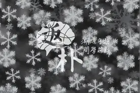 索菲斯·李：视力欠佳，却看到数学和物理中最深刻的结构之一图片