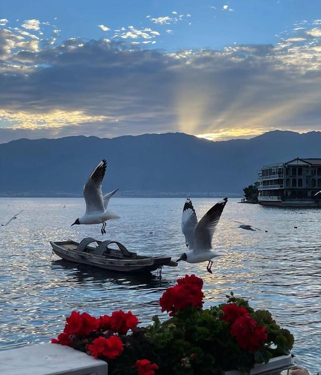 ȤȦİ