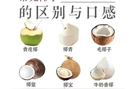 椰子不同阶段的特点与口感你知道吗？图片