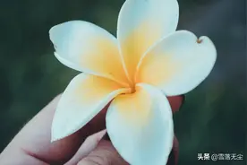 夫妻之间，你越“懒”，日子过得越好图片