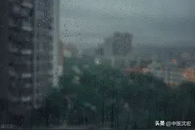 湿气大，舌两边有齿痕？两味药煮水，祛湿除湿，让你无湿一身轻图片