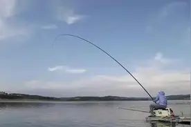 秋季，是不同鱼种活跃度转换的季节，别浪费了钓鱼的黄金季节图片