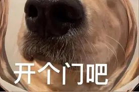 有趣表情包 | 我回来了，开个门吧图片