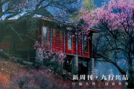 最后一批假装在国外的博主，已经失业了图片