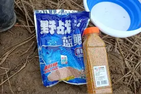 为什么蓝鲫单开不能封神？把这几个问题搞清楚了，你就会配饵料了图片