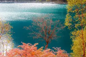 狂放不羁需要底气，八首很狂的诗词，李白佩服的狂士无人不知图片