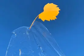 天使的翅膀图片