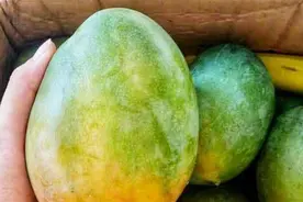 青芒果怎么催熟变黄？教你3个快速催熟芒果小妙招，味道更香更甜图片