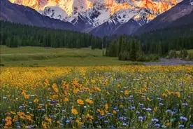 华为发布2024年年度报告：营收8621亿 研发投入1797亿图片