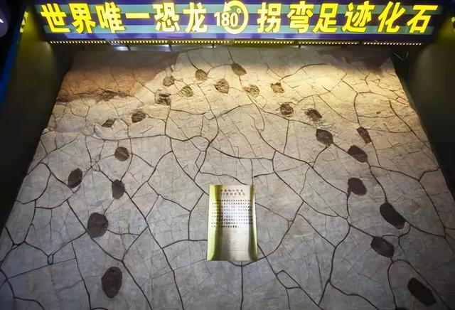 “龙”游诸城，诸事皆成