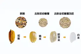 坚持一个月不吃米饭，虽能瘦身，但这3个副作用有你好受的图片