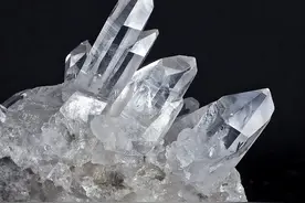 疯狂的“石头”会再次上演吗？图片